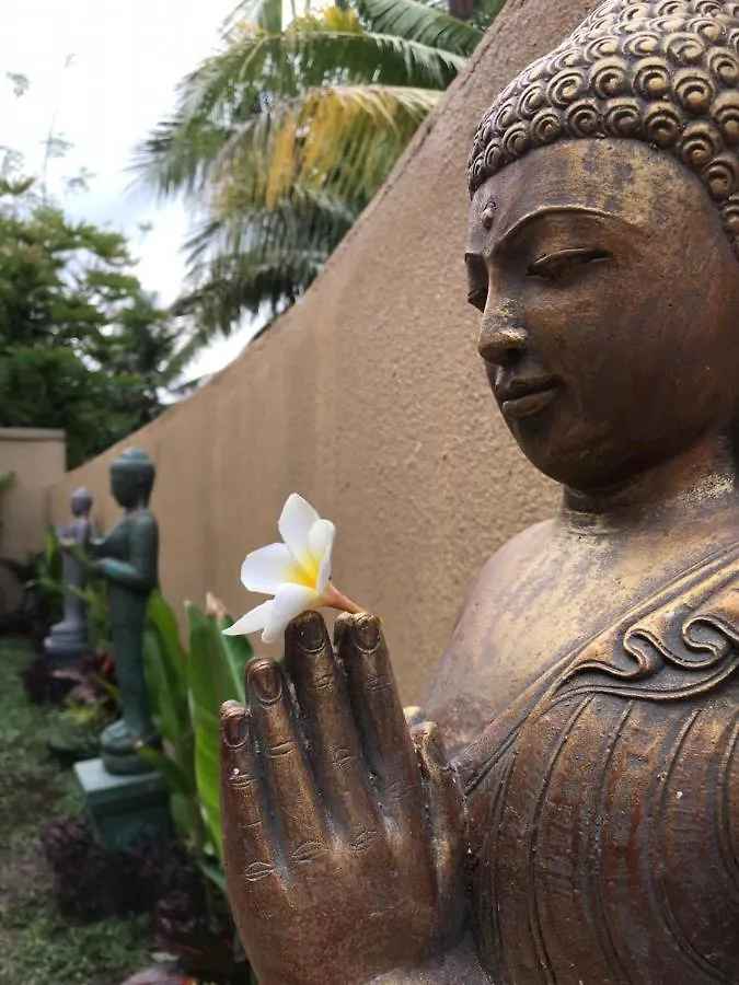 The Daryana Villa Ubud